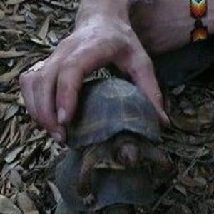 Meet your Posher, Dustin